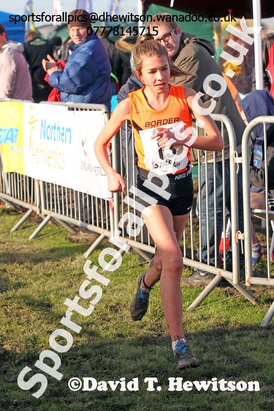 Girls under-13s Northern Cross Country  Championships, Pontefract. Photo: David T. Hewitson/Sports for All Pics